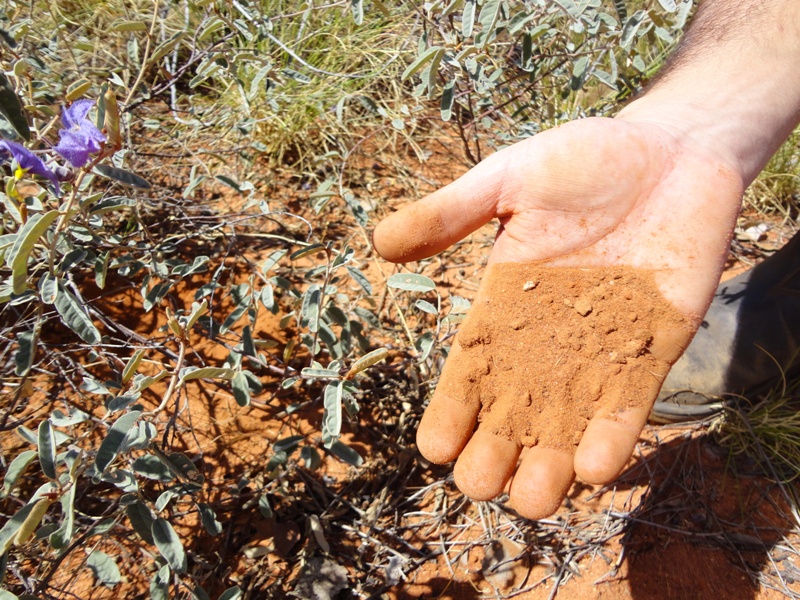 What is sandy soil?